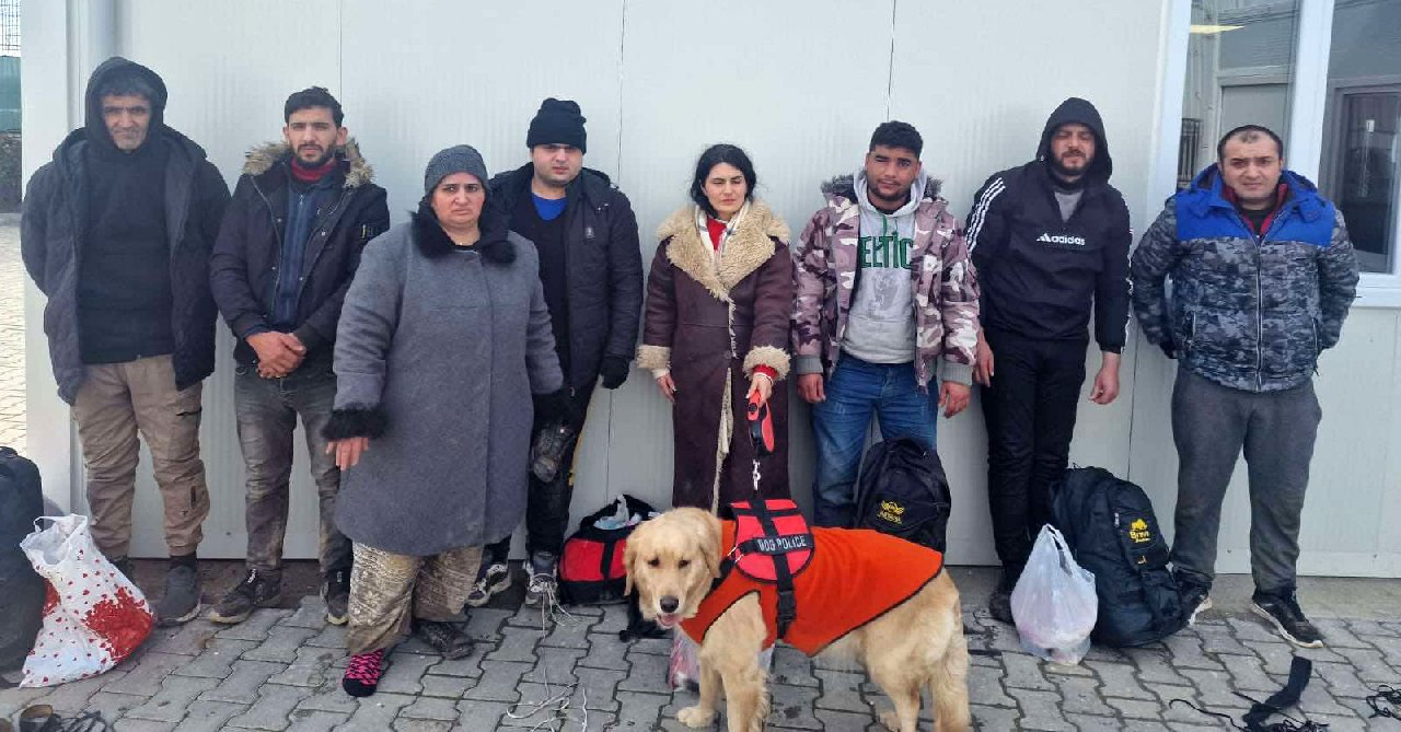 Görme kaybı olan göçmen, rehber köpeği ile yakalandı