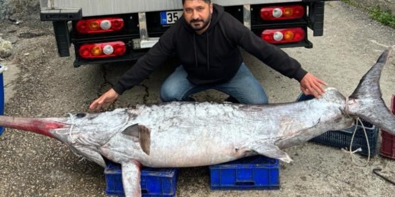 Avladığı 3 Metre Boyundaki 150 Kiloluk Kılıç Balığını Bakın Kaç Liraya Sattı!