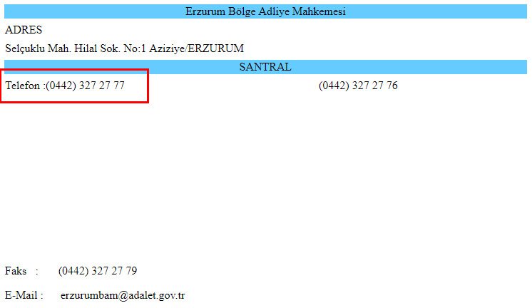 Erzurum Adliyesi telefon santralinde, Erdoğan'ın seçim müziği Dombra çalıyor