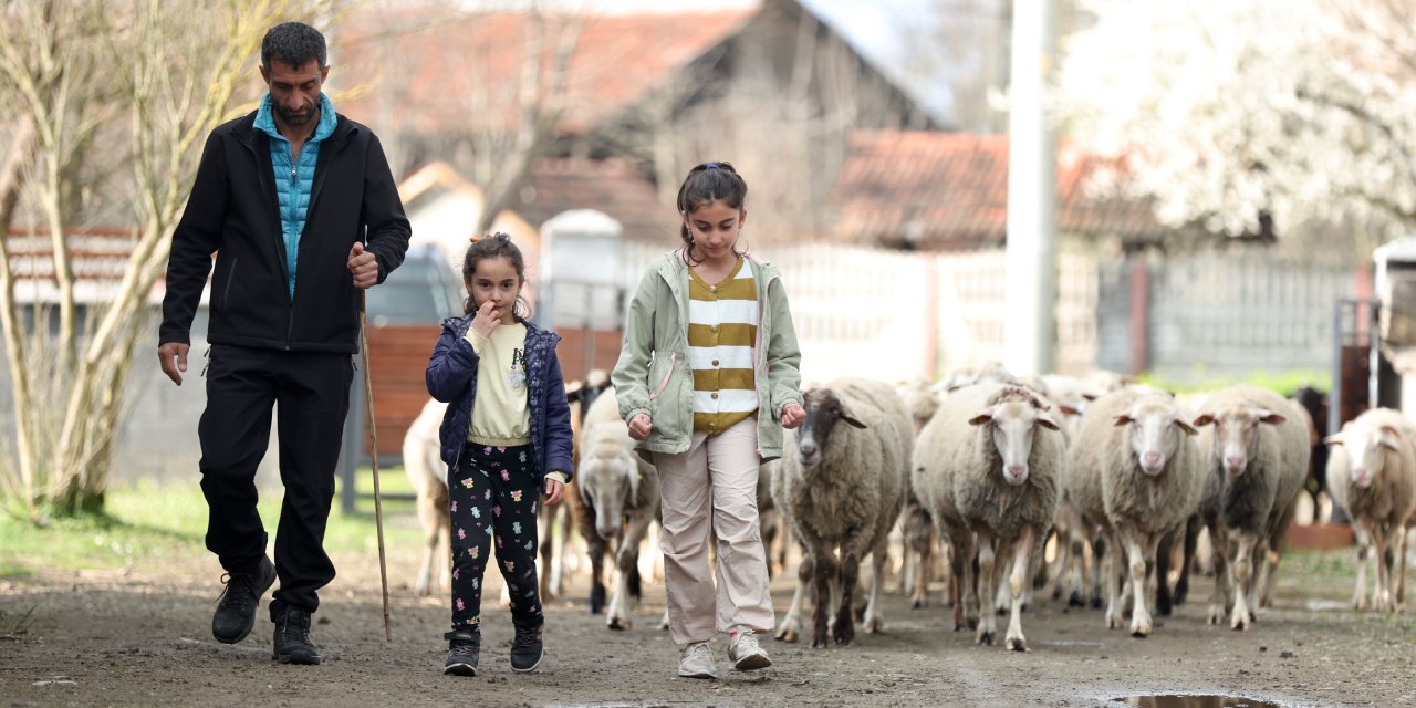 Köy Hayatı Tutkunu Çift 2 Koyunla Başladıkları Besicilikte Çiftlik Kurdu