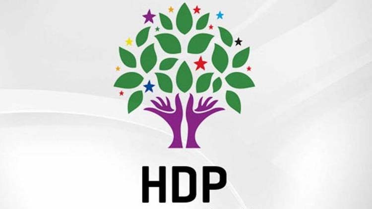 HDP'li vekile 'terör propagandası'ndan hapis cezası