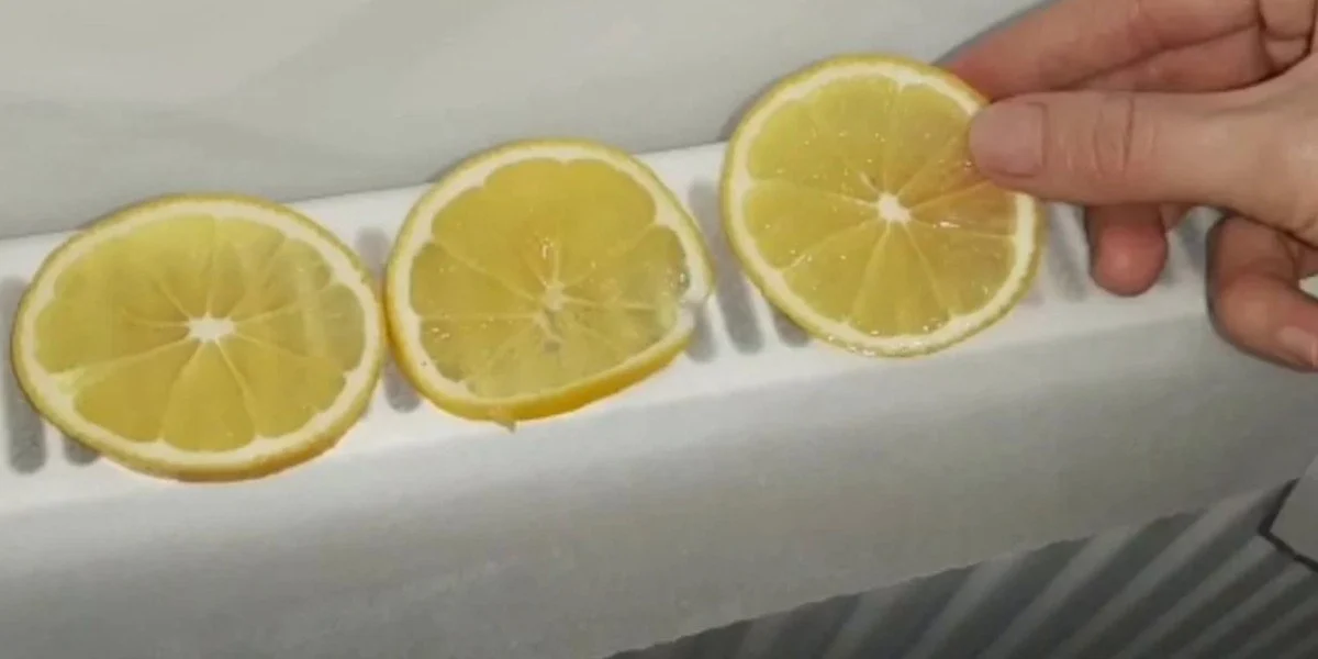 Sadece mis gibi koku yaymakla kalmıyor! Kalorifer peteklerinin üzerine limon koymak bakın ne işe yarıyor