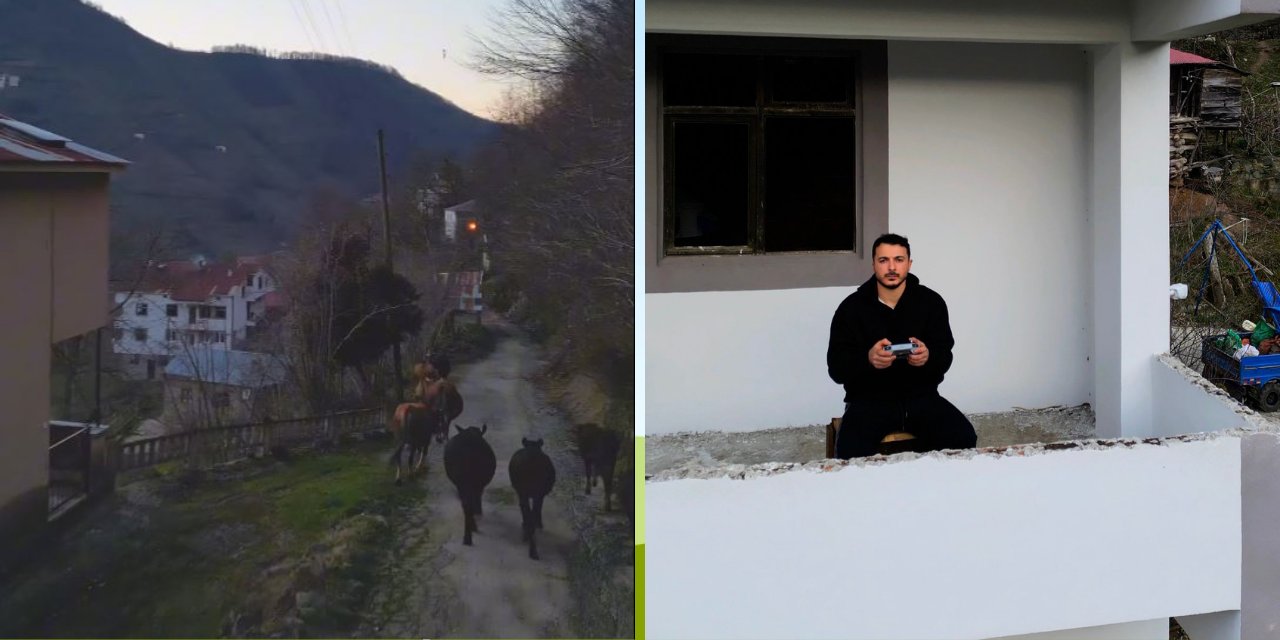 Yöntemi Şoke Etti! 'Dron İle İnekler Nasıl Eve Getirilir' Dedi, Başardı