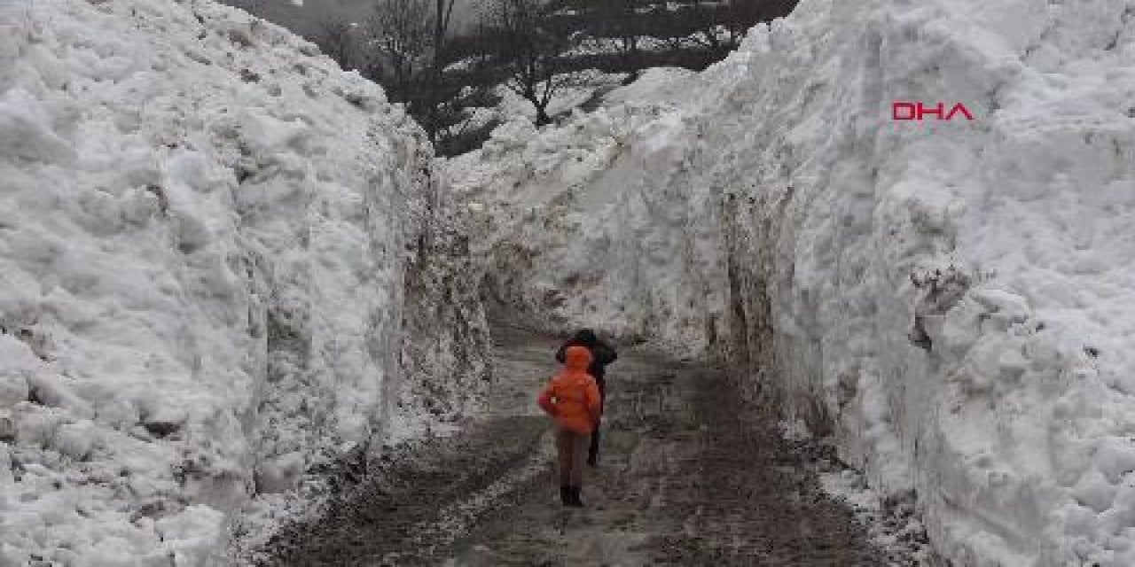 Köye Düşen Çığ Tehlikeli Anlar Yaşattı: Kıl Payı Kurtuldular