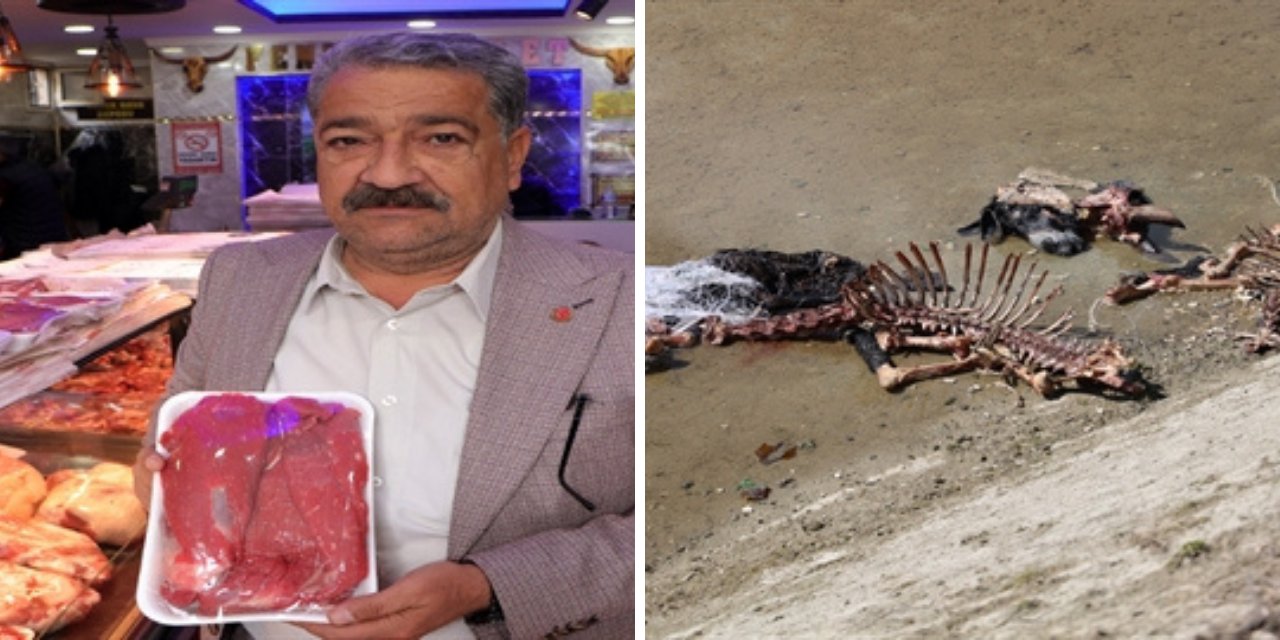 Adana'da At ve Eşek Eti Kalıntıları Bulunmuştu: Uzmanlar Açıkladı!  'At Eti Sulu Olur, Mangal Söndürür'