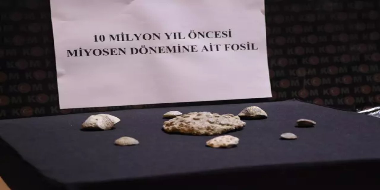 Kayseri'de Operasyon: 10 Milyon Yıllık Fosil Ele Geçirildi