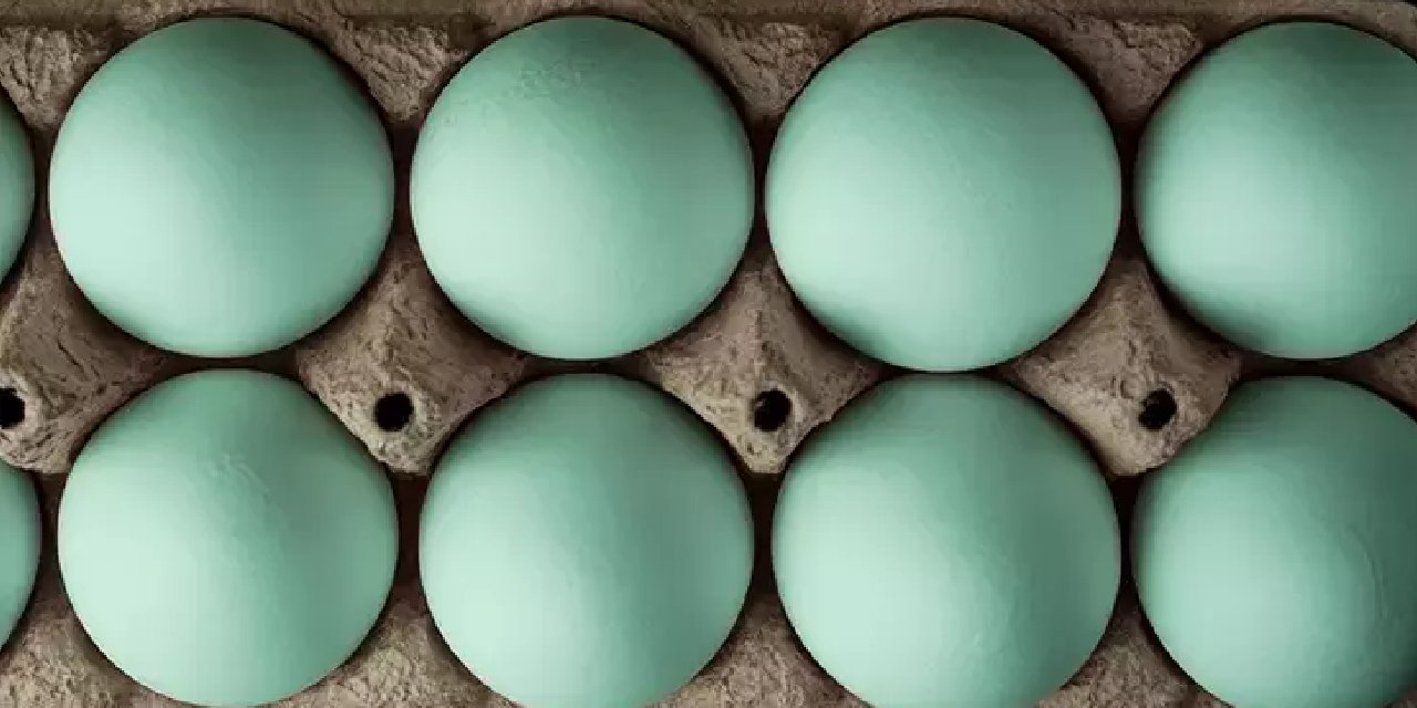 Bu Yumurtalar Bildiğimiz Yumurtalardan Değil: Sebebi İse...