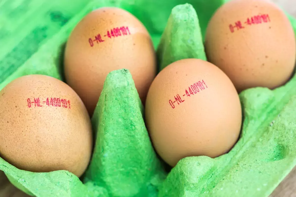 Yumurta alırken dikkat! Yumurta üzerindeki rakamlar ne anlama geliyor? Hangi kodlu yumurtalar daha sağlıklı?