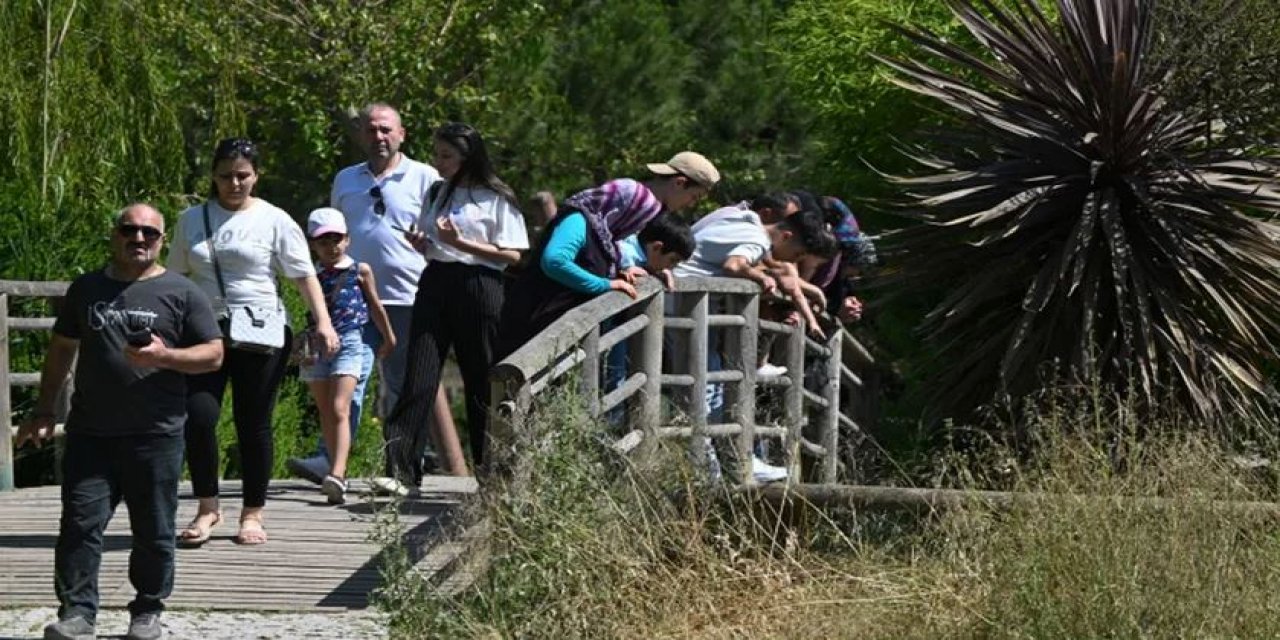 İzmir Doğal Yaşam Parkı Tatilde Ziyaretçi Akınına Uğradı