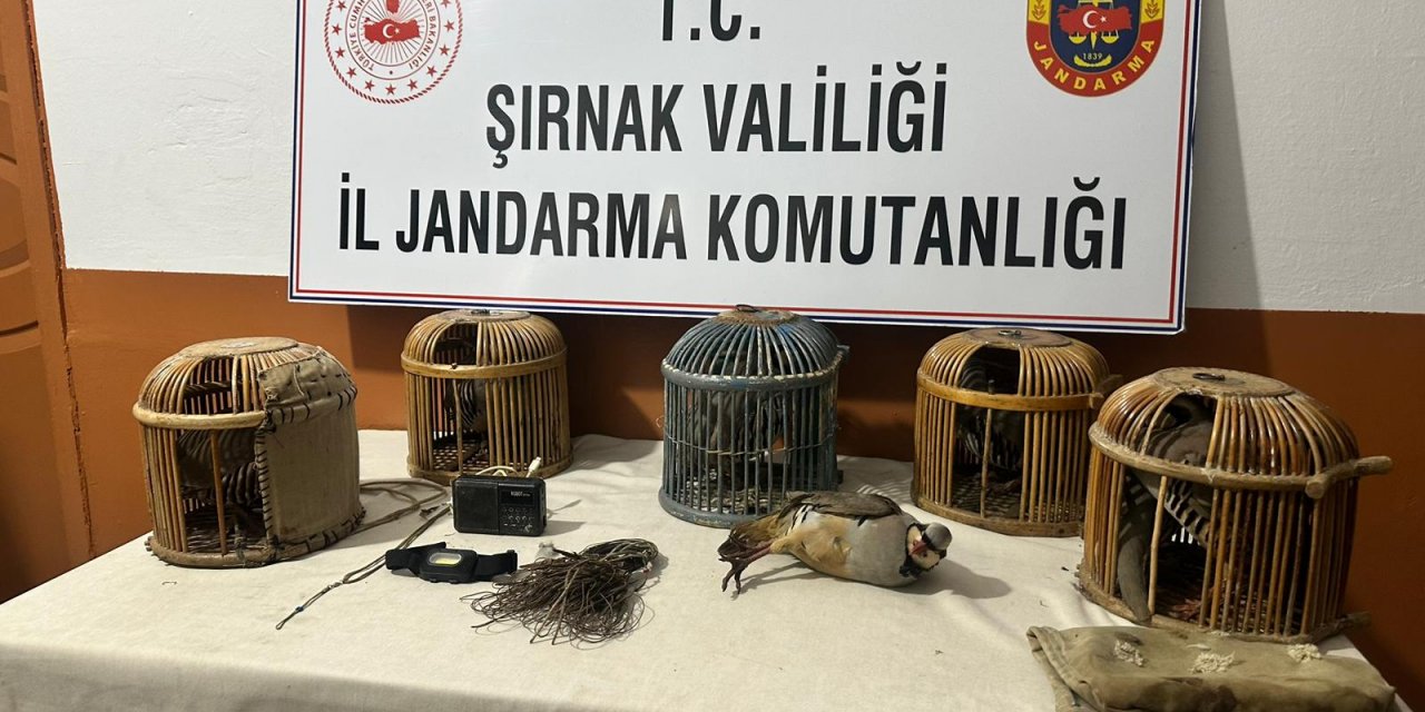 Keklik Avcılarına 67 Bin Lira Ceza