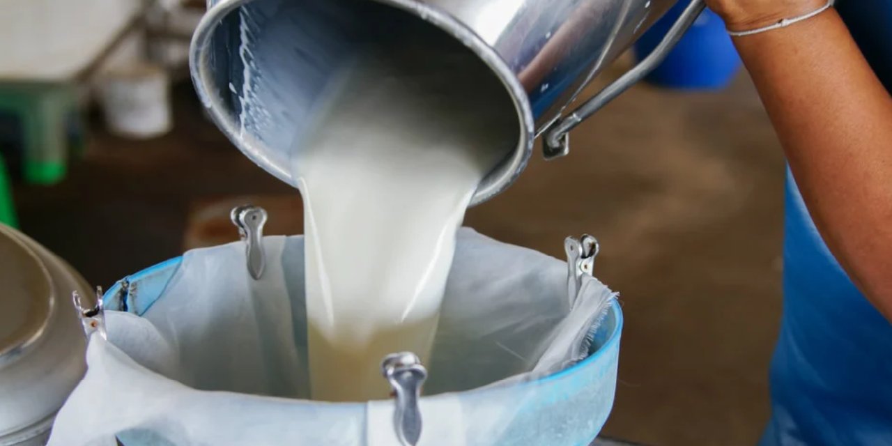 Süt Alım Fiyatlarına Yeni Zam Geliyor