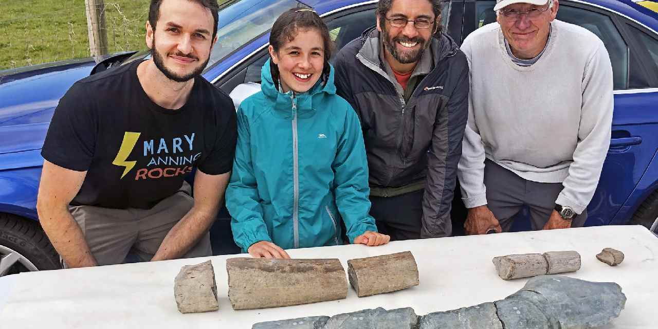 Heyecan verici keşif: 11 yaşındaki bir kız çocuğu buldu... Yaşamış en büyük deniz sürüngeni mi?