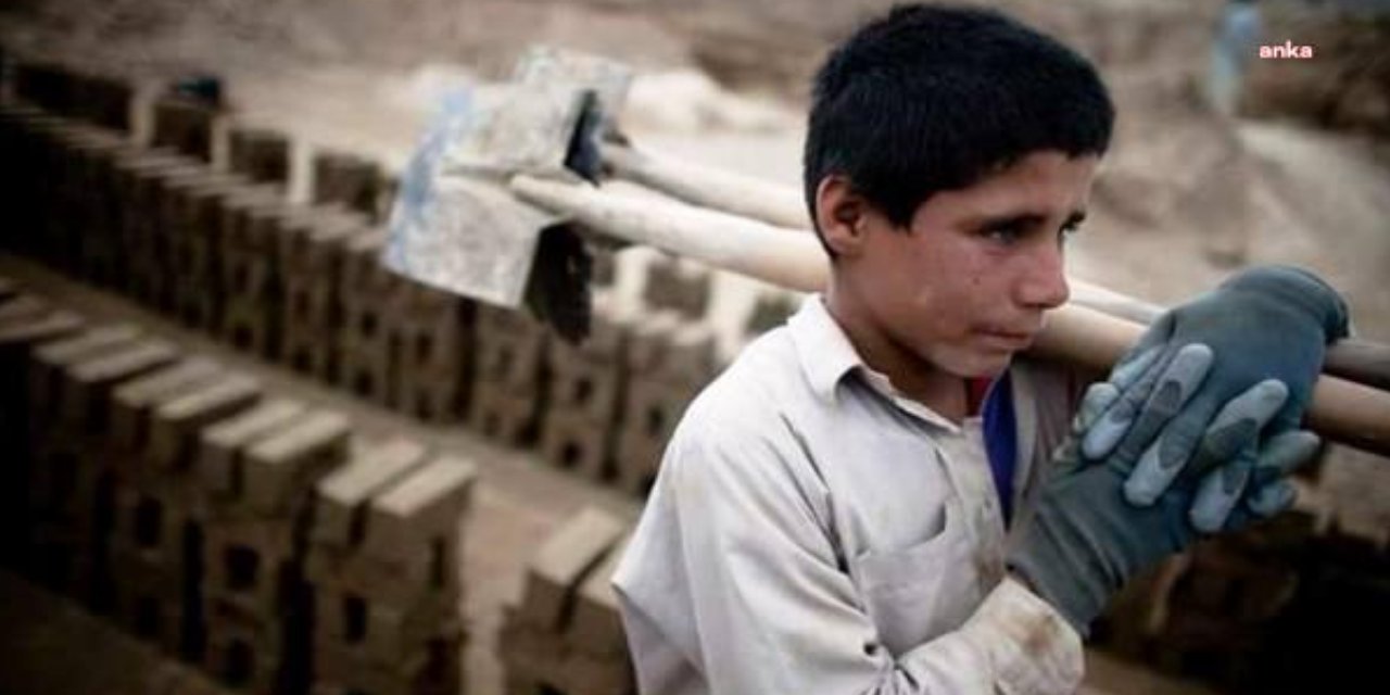 TÜİK'ten 23 Nisan'a Özel Bülten: Çocuk İşgücüne Katılma Oranı Arttı