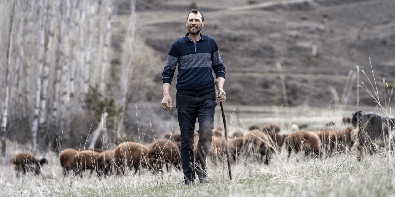 Şehirden Köye: Devlet Desteğiyle 100 Koyunla Başladı, Hedefi 1000 Koyun Sahibi Olmak