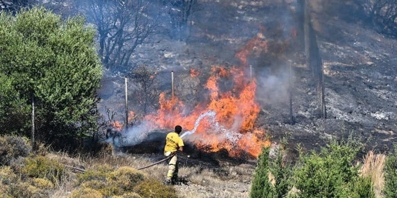 Kastamonu'da Orman Yangını!