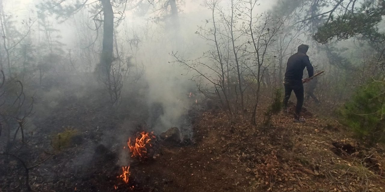 Tokat'ta Ormanlık Alanda Yangın!  2 Dönüm Alan Zarar Gördü