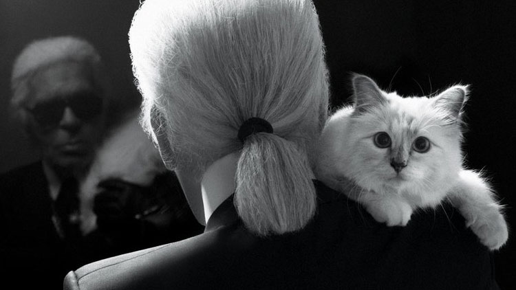 Karl Lagerfeld'in 200 milyon dolarlık mirası 'kedisine kalabilir'