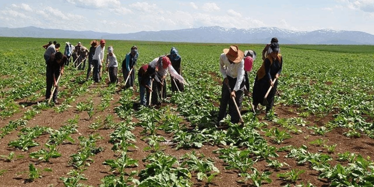Cumhurbaşkanlığı'ndan Mevsimlik Tarım İşçilerine Yönelik Yeni Genelge