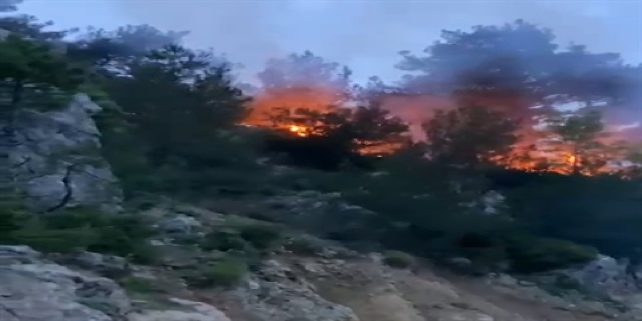 Osmaniye'de Orman Yangını!