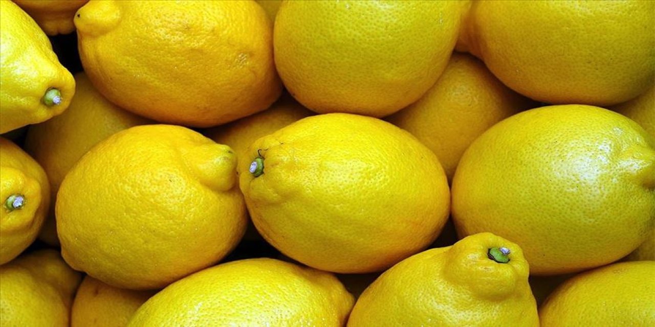 Türkiye'ye Geri Gönderilen Limonların Akıbeti Belli Oldu