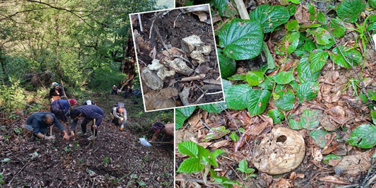Arnavutköy'de Dehşet: İşçiler Ormanda İnsan Kafatası Buldu!