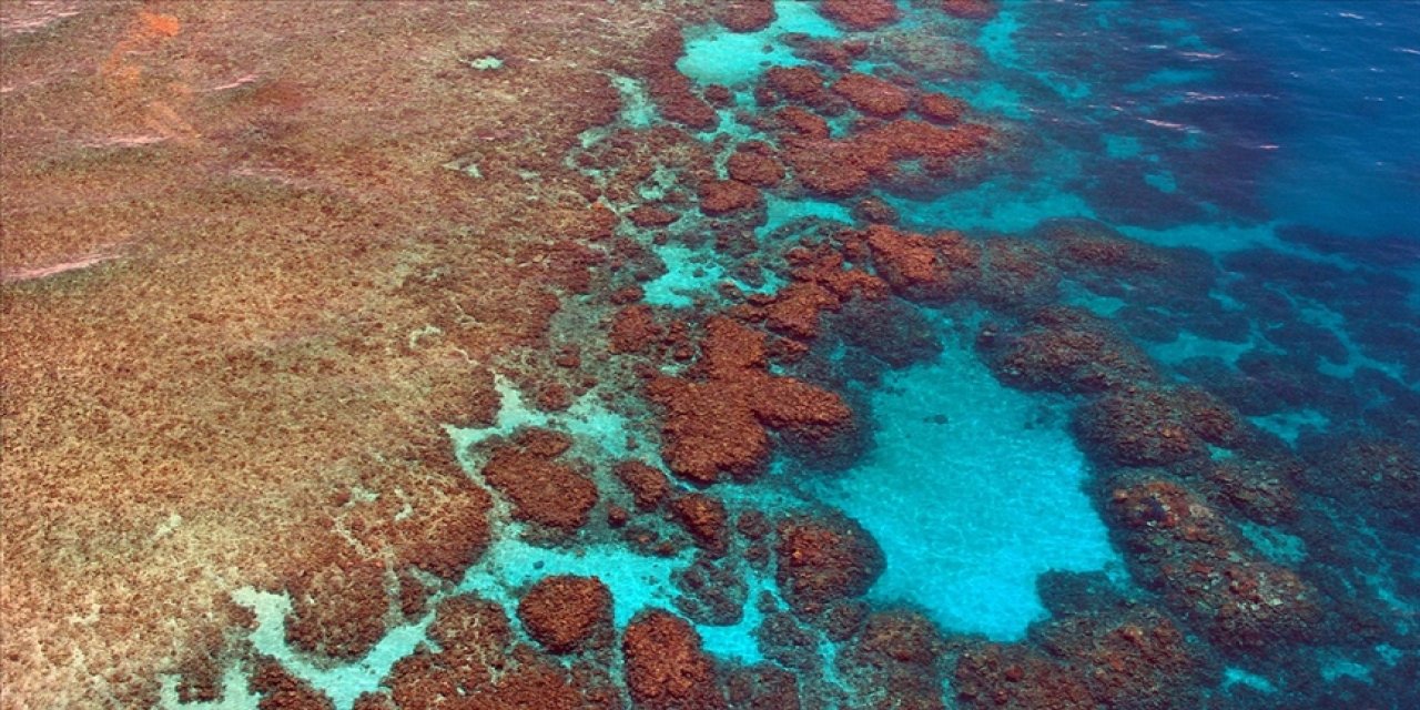 Kayıp Ses: Ses Dalgalarıyla Resiflerin Dirilişi!