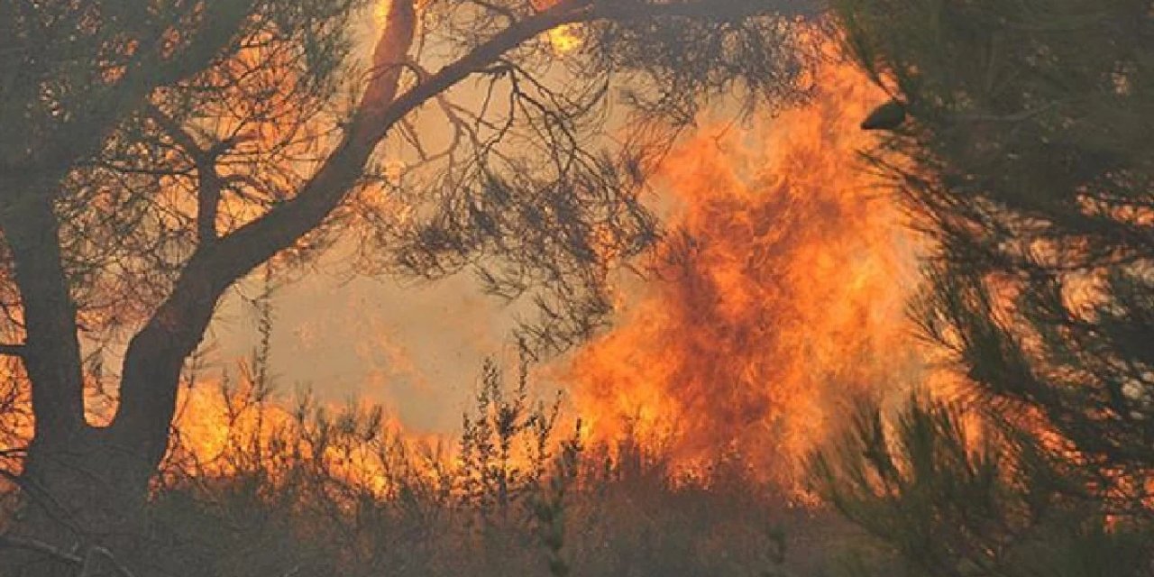 Kanada'da Orman Yangını: Alarm Verildi Kontrol Altına Alınamaıyor!