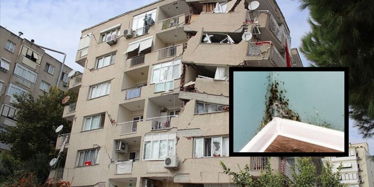Uzman isim Mehmet Ali Kaya'dan deprem için kritik uyarı