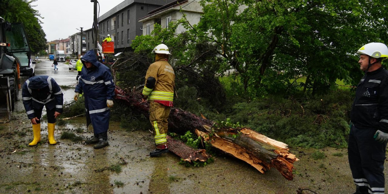 Ağaçlar Devrildi, Araçlar Zarar Gördü