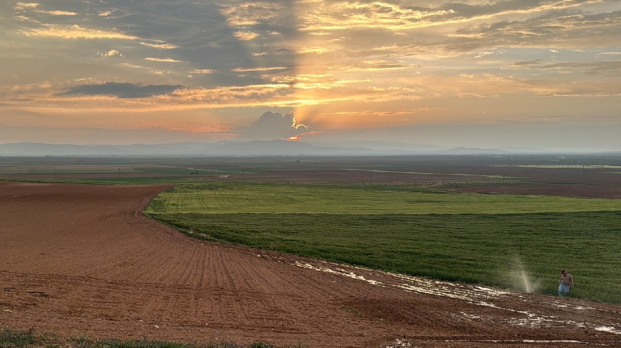 Hububat Hasadına Can Suyu Oldu, Çiftçinin Yüzünü Güldürdü! 2 Milyon Tonun Üzerine Çıkması Bekleniyor