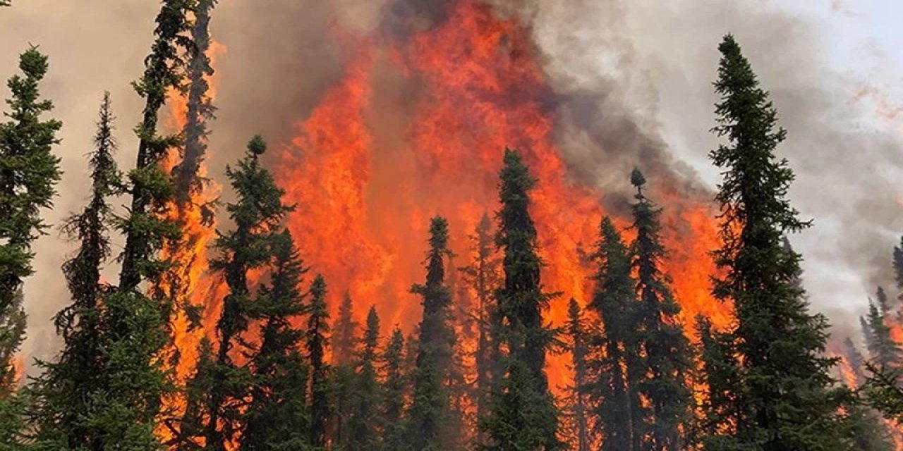 Kanada'daki Orman Yangınları Binlerce Kişiyi Yerinden Edecek