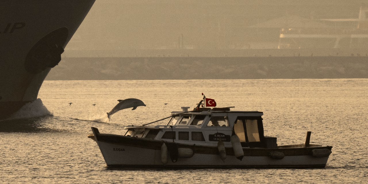 İstanbul Boğazı'nda Büyüleyici Manzara: Yunuslar Gemilere Eşlik Etti!