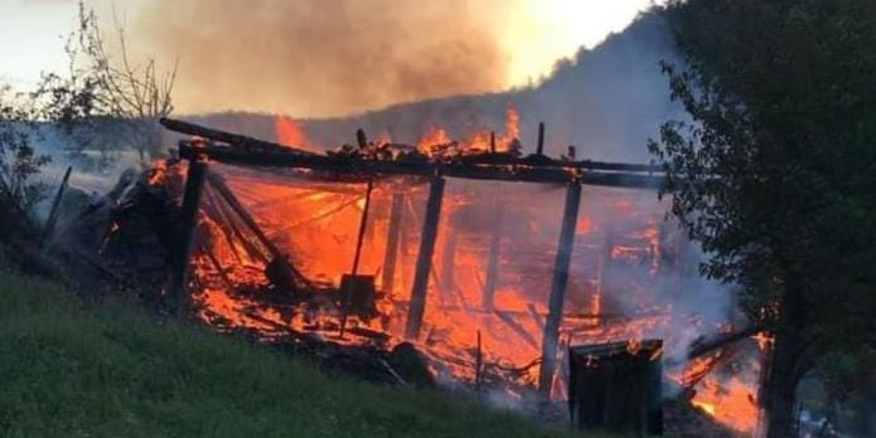 Sinop'ta Korkutan Yangın: 2 Kişi Yaralandı