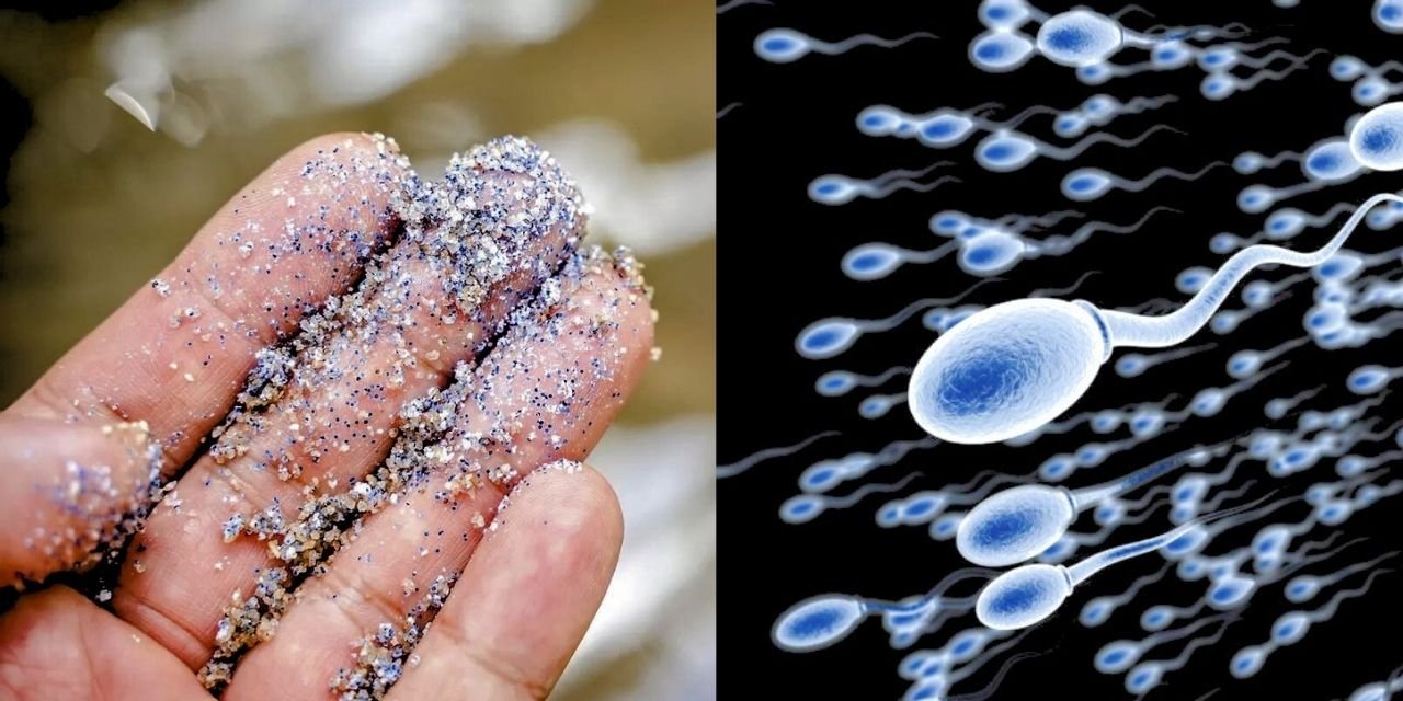 Vücutta Tespit Edildi! Sperm Sayısını Etkileyecek