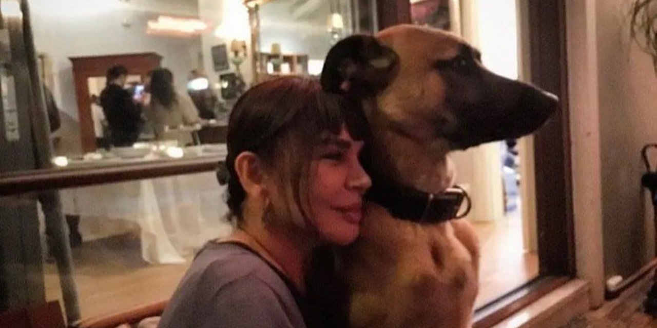 Minik Serçe 'Köpeklerin Uyutulması' Teklifine Tepki Gösterdi!