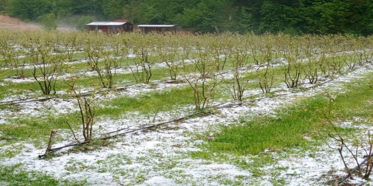 Bursa'ya Sarı Kodlu Uyarıdan Sonra Dolu Yağdı