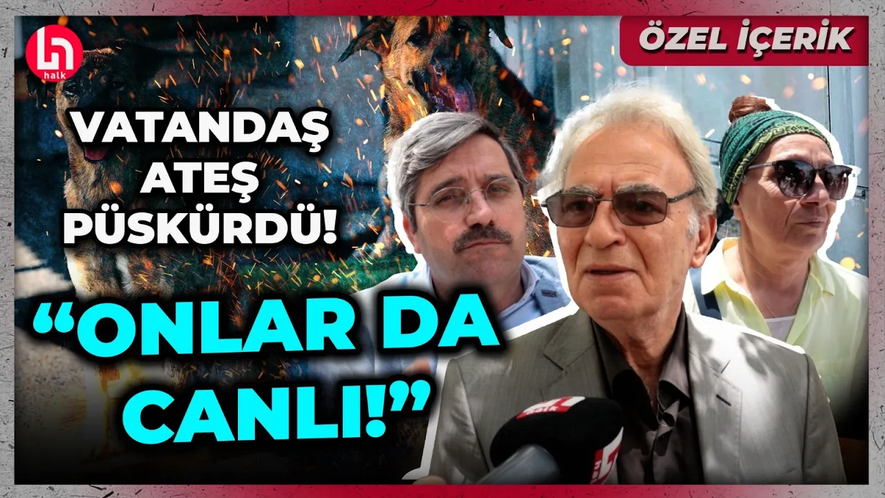 Erdoğan'ın 'sokak hayvanları' planına vatandaştan zehir zemberek sözler! | 'Halk'ın Mikrofonu