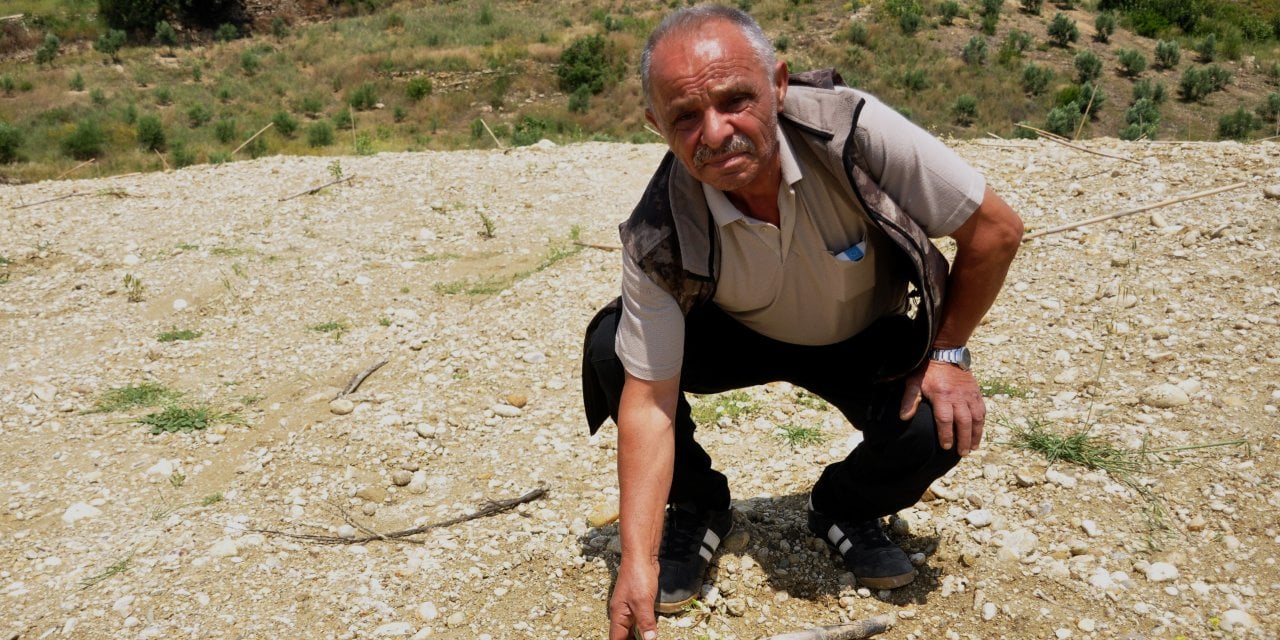 Binbir Emekle Dikti Gözü Gibi Baktı, Bir Gün Geldiğinde Hepsinin Yok Olduğunu Gördüğünde Kahroldu!