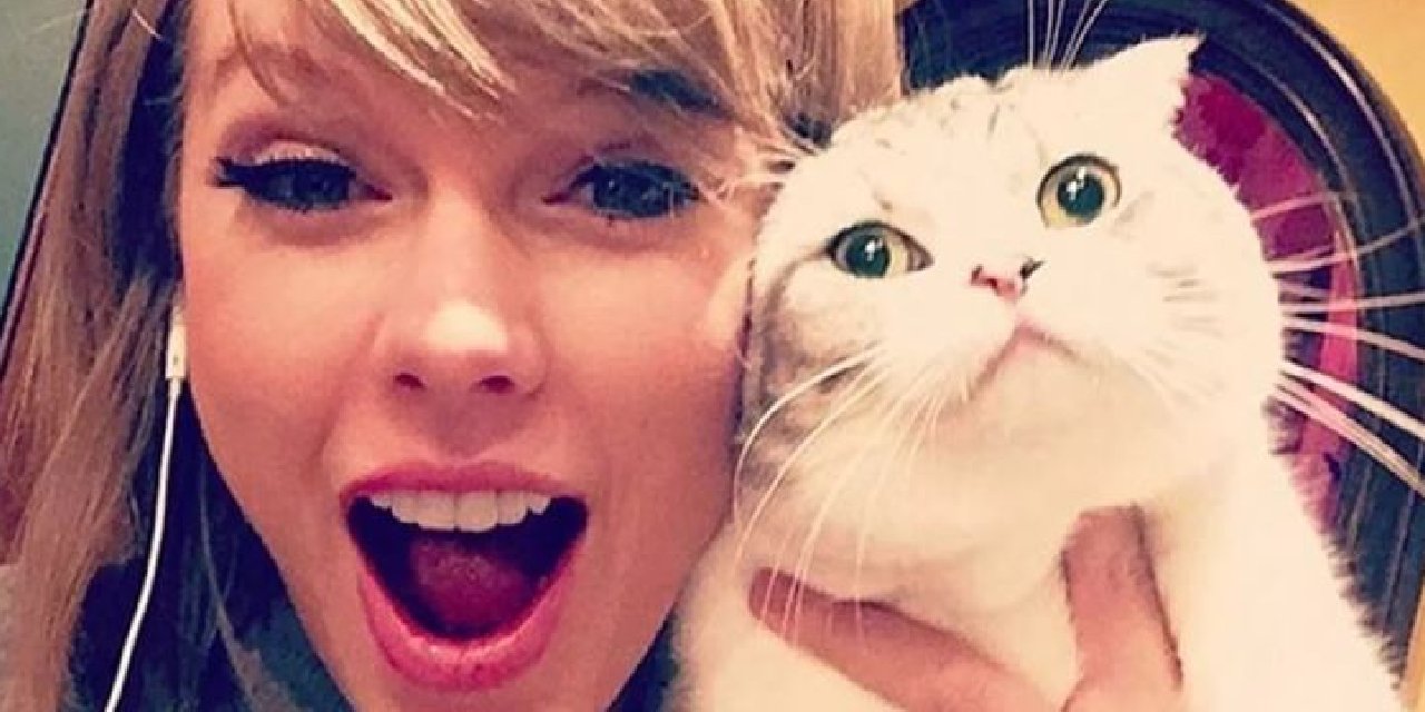 Taylor Swift’e Kedi Eleştirisi