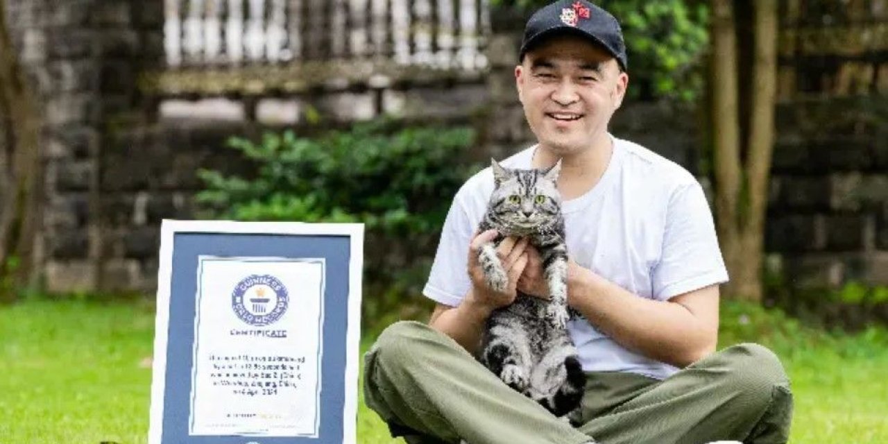 Kaykaycı kedi Bao Zi ,inanılmaz başarısıyla rekorlar kitabına girdi :