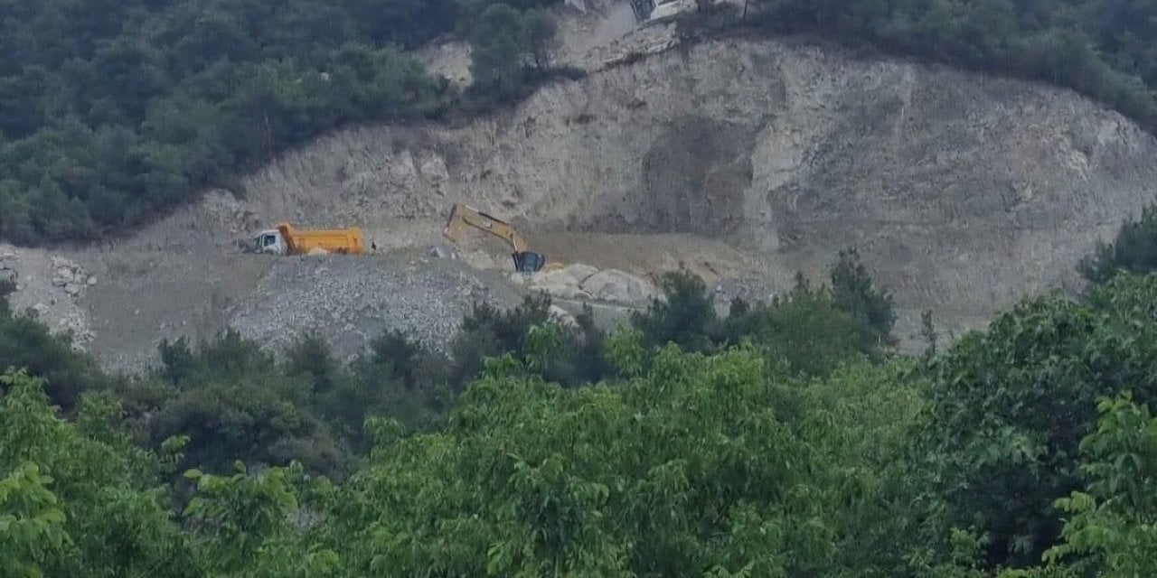 Tokat'ta Çam Ağacı Kaplı Dağ Oyuldu!