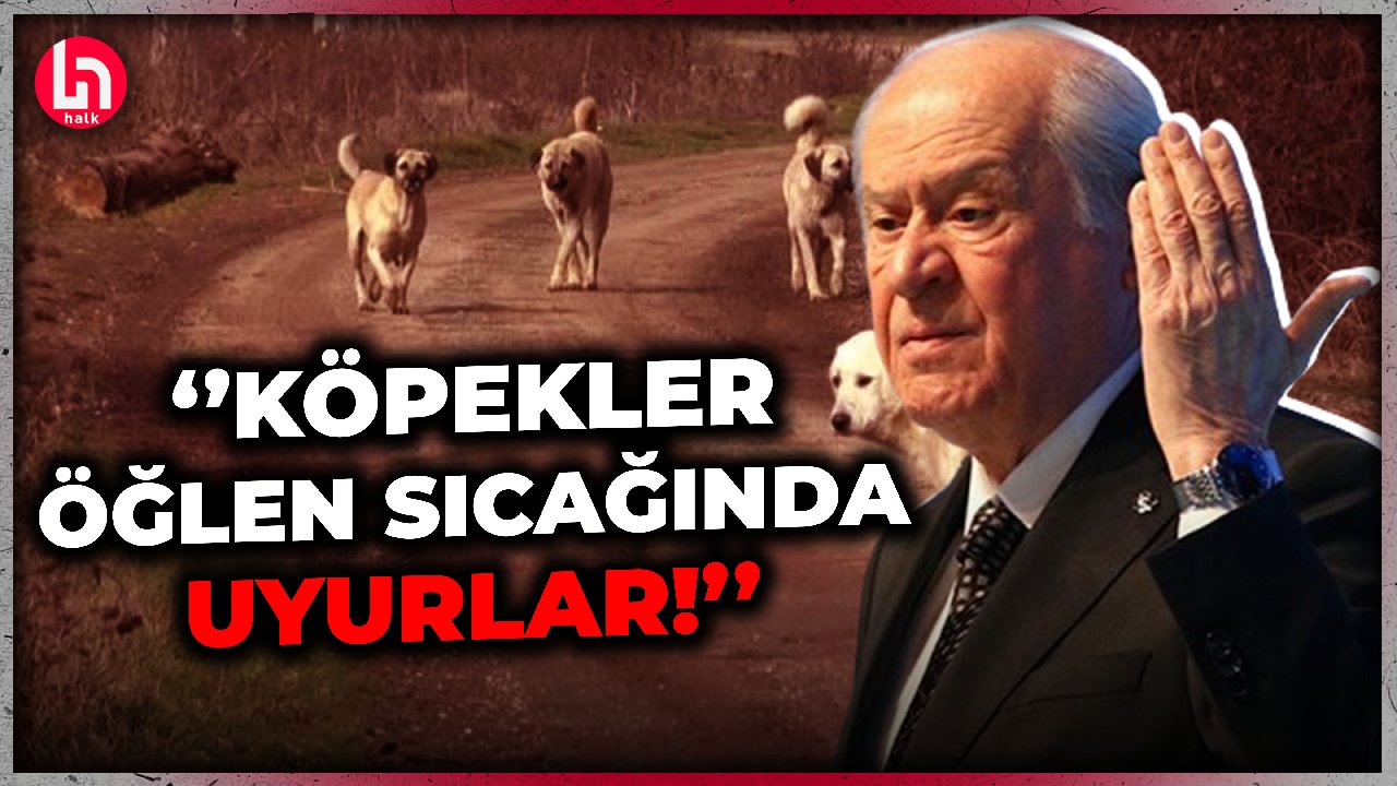 Bahçeli'nin uyutma açıklamalarına muhalefetten yaylım ateşi!