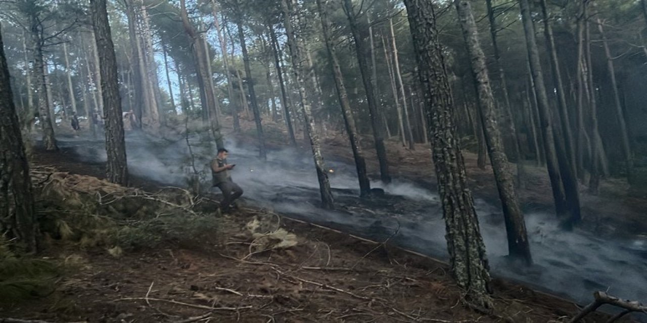 Muğla’da Orman Yangını