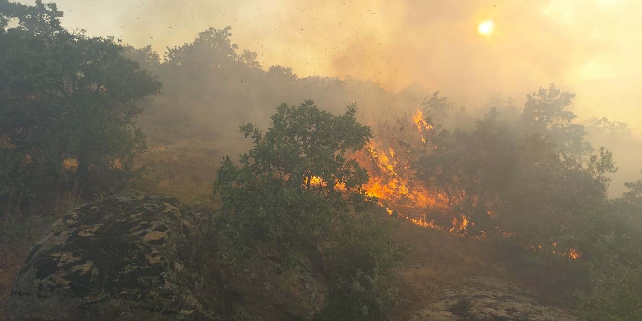 Yangın 12 saatte Söndürüldü: Manisa'da 35 Dekar Meşe Ormanı, 25 Dekar Tarım Arazisi Yandı