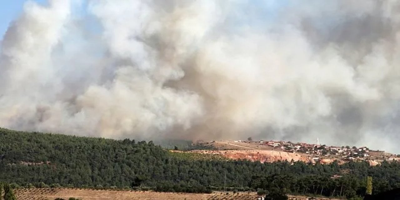 Muğla'da da Orman Yangını Başladı!