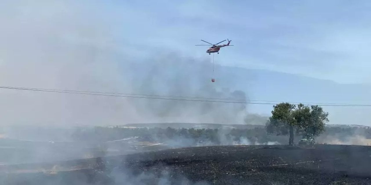 Çanakkale'de Yangın Ormana Sıçradı