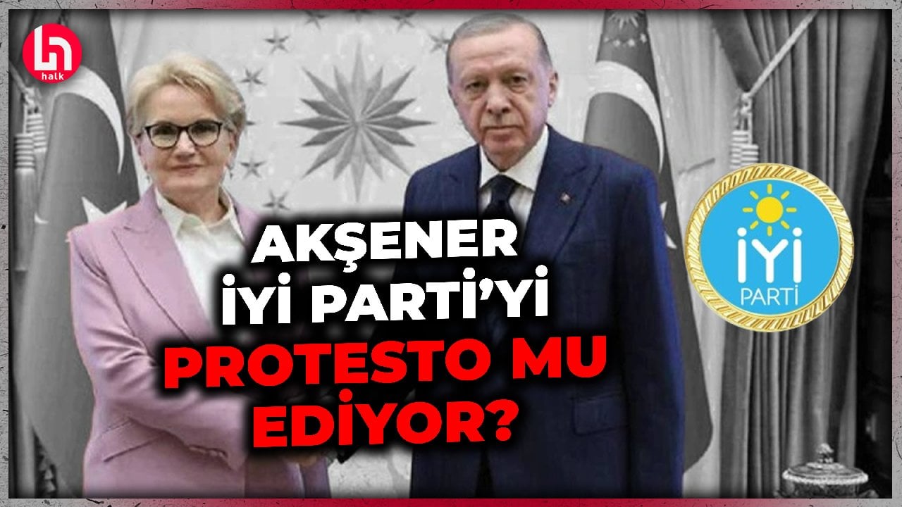 Akşener, İYİ Parti logosunu neden kaldırdı? İşte bu kararın sebebi!