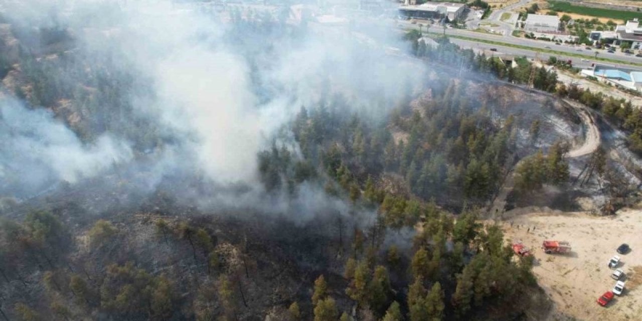 Denizli'de Ormanı Kaynak Makinesi Yaktı: 3 Gözaltı