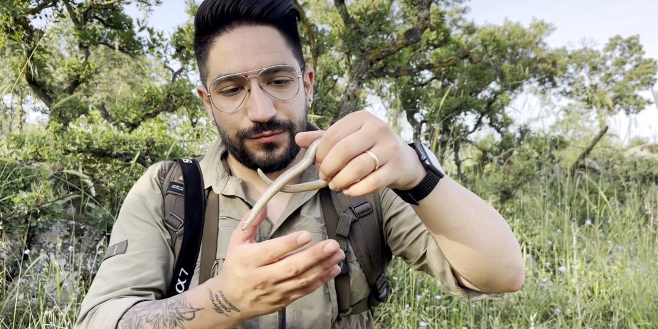 Türkiye'de Tekti! Fotoğrafçının Objektifine Yakalandı