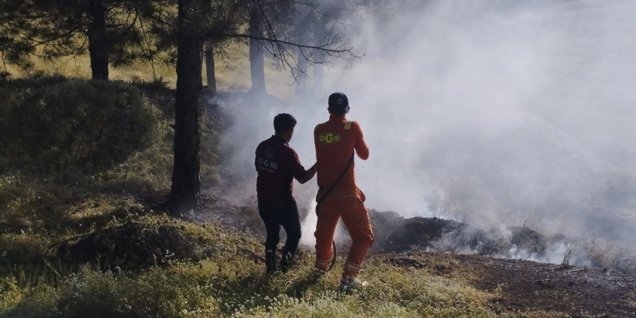 Bingöl'de Korkutan Orman Yangını